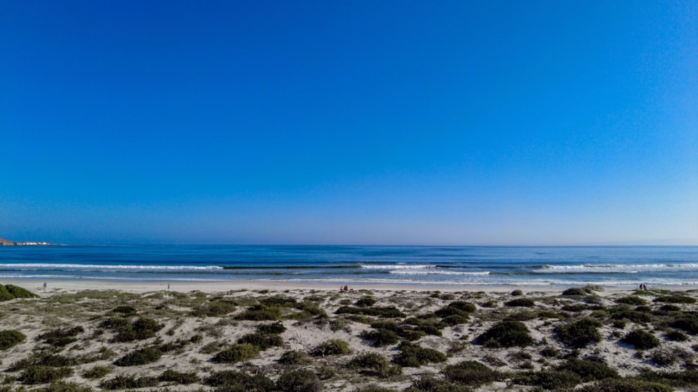 Apartment for sale in Elands Bay - LA1574211 Apartment for sale in Elands Bay - LA1574211