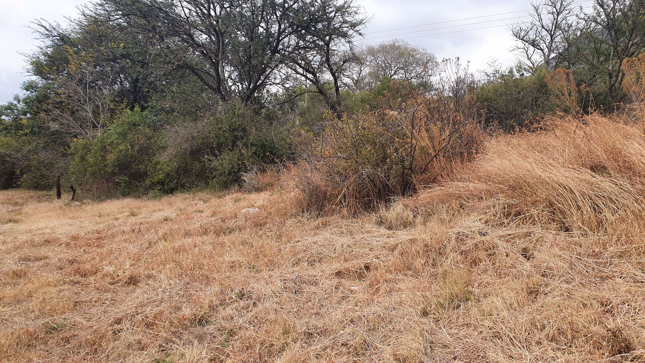 Vacant land for sale in Syferfontein - 1HR1575102