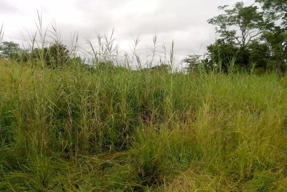 Vacant land for sale in Solwezi, Zambia - 3ZA1574575 Vacant land for sale in Solwezi, Zambia - 3ZA1574575