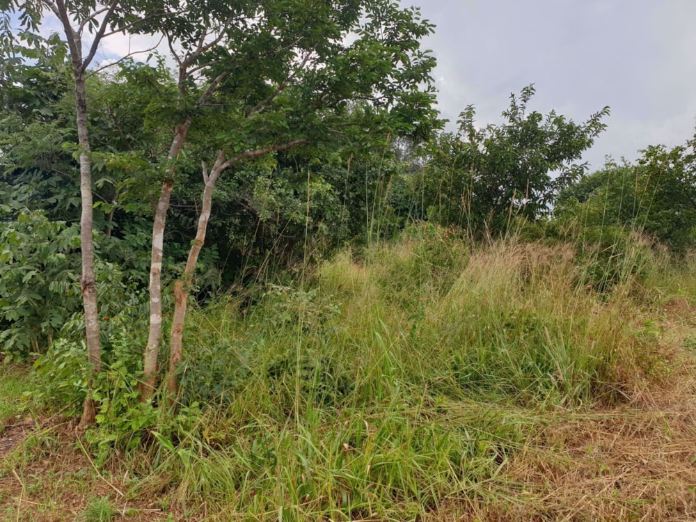 Vacant land for sale in Solwezi, Zambia - 3ZA1574575 Vacant land for sale in Solwezi, Zambia - 3ZA1574575