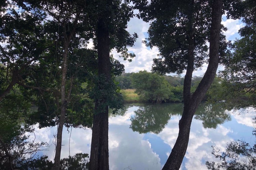 Vacant land for sale in Solwezi, Zambia - 3ZA1574575 Vacant land for sale in Solwezi, Zambia - 3ZA1574575