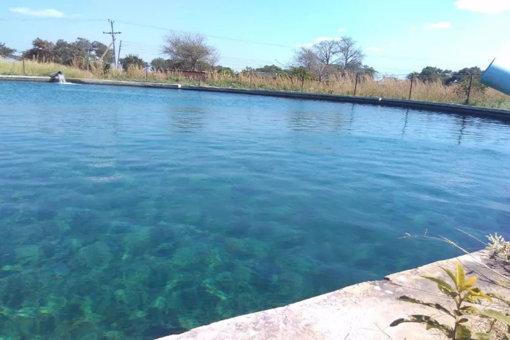 Farm vacant land for sale in Lusaka West, Zambia - 3ZA1577947