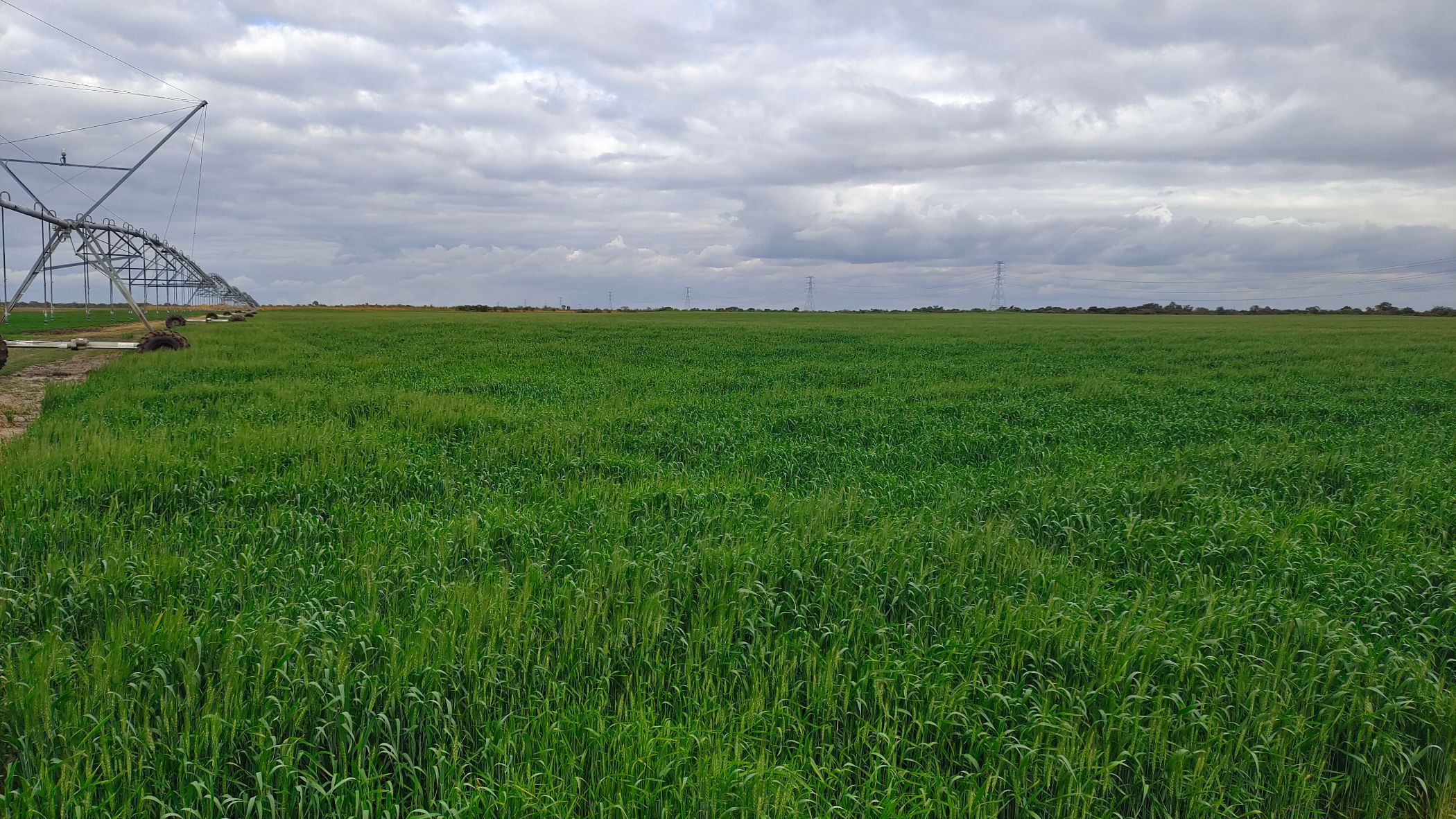 Farm vacant land for sale in Lusaka West, Zambia - 3ZA1577947