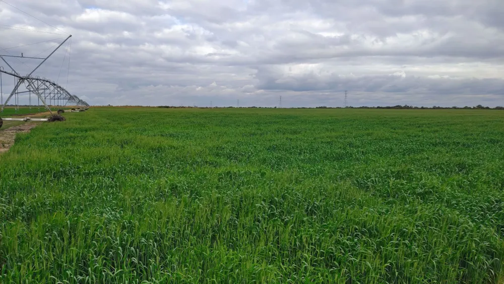 Farm vacant land for sale in Lusaka West, Zambia - 3ZA1577947