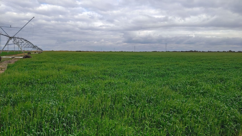Farm vacant land for sale in Lusaka West, Zambia - 3ZA1577947 Farm vacant land for sale in Lusaka West, Zambia - 3ZA1577947