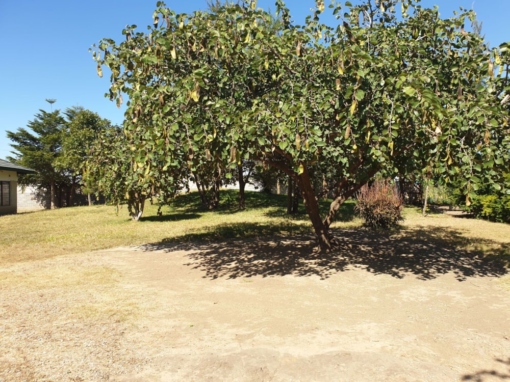 House for sale in Kabangwe, Zambia - 3ZA1574924