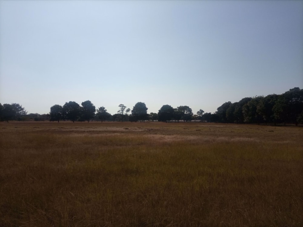 Vacant land for sale in Lusaka, Lusaka, Zambia - 3ZA1576718