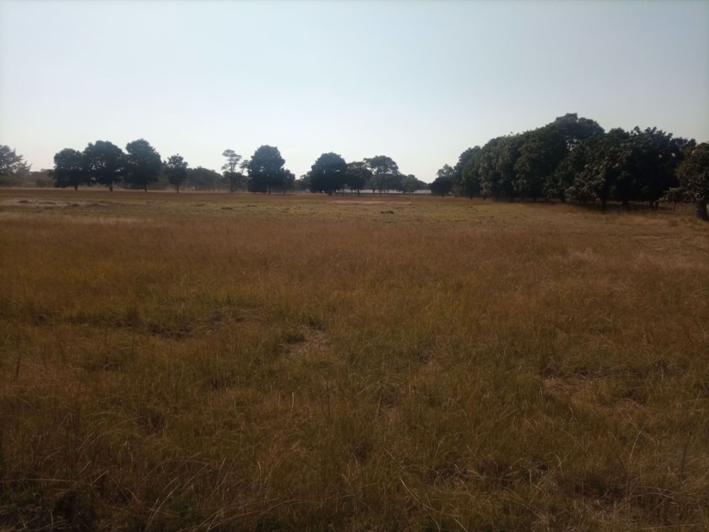 Vacant land for sale in Lusaka, Lusaka, Zambia - 3ZA1576718