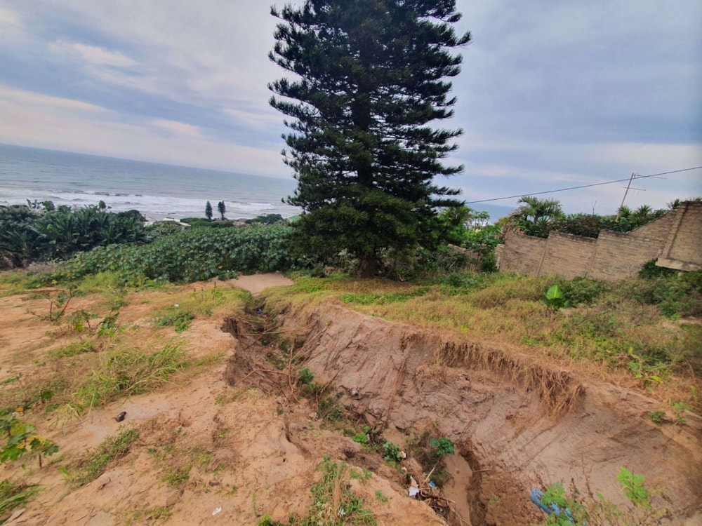 Vacant land for sale in Oslo Beach, Port Shepstone - 1PX1575056 Vacant land for sale in Oslo Beach, Port Shepstone - 1PX1575056