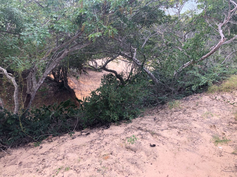 Vacant land sold in Vilanculos, Mozambique - 3MQ1575485