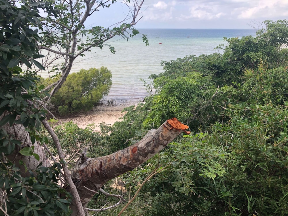 Vacant land sold in Vilanculos, Mozambique - 3MQ1575485