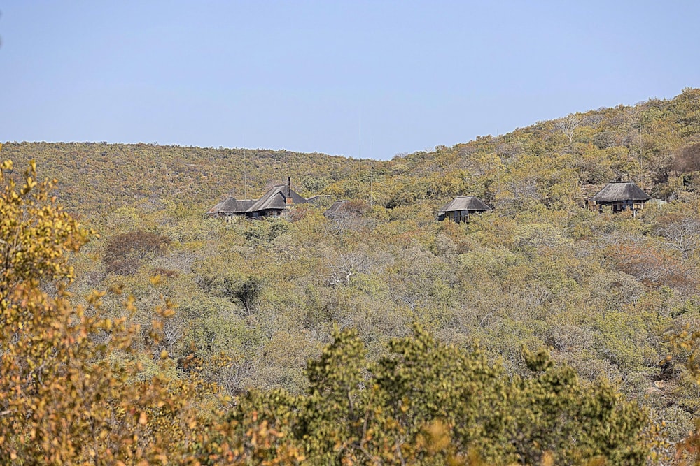 Game farm for sale in Lephalale Rural - 1ER1608349 Game farm for sale in Lephalale Rural - 1ER1608349