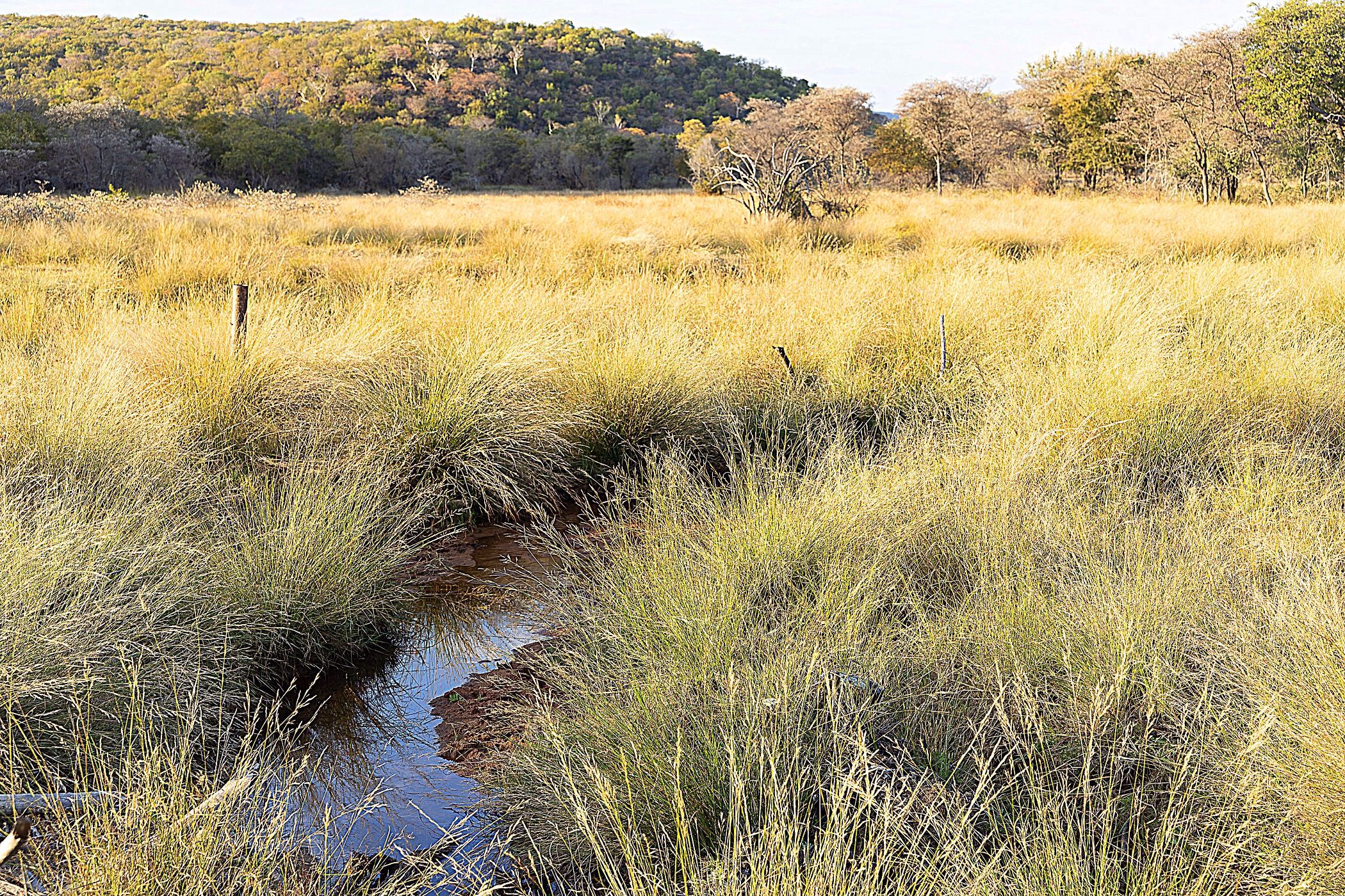 Game farm for sale in Lephalale Rural - 1ER1608349