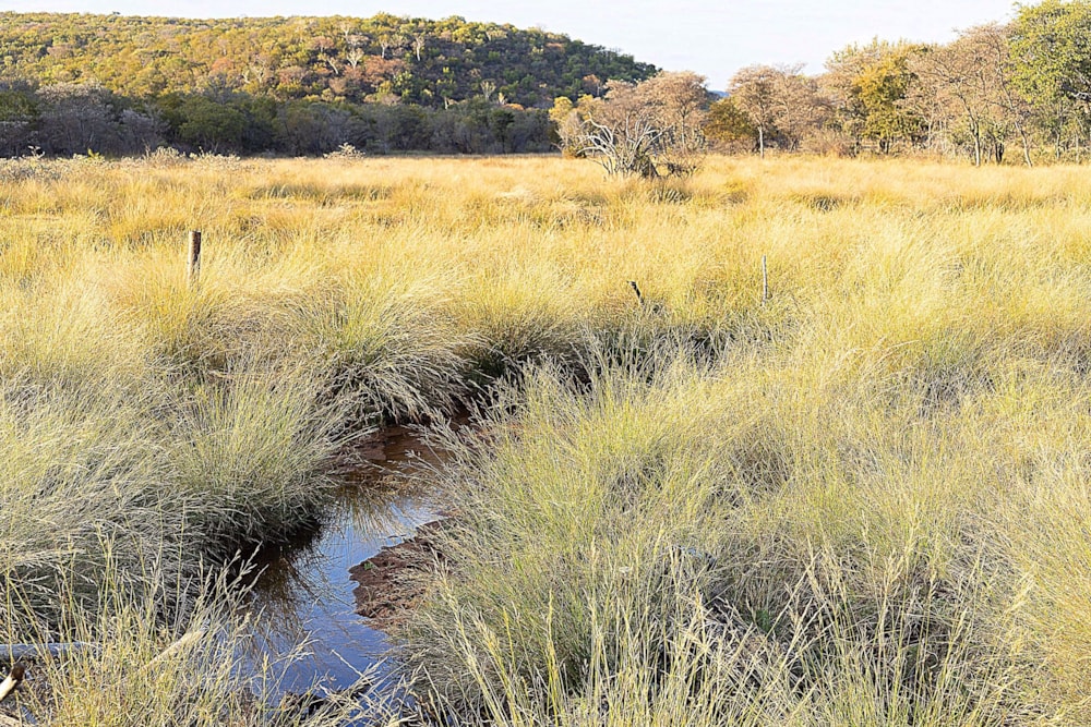 Game farm for sale in Lephalale Rural - 1ER1608349