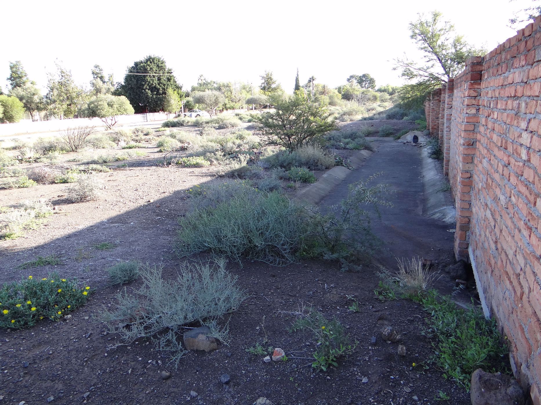 Residential vacant land for sale in Hospital Hill, Beaufort West - 1KK1720503
