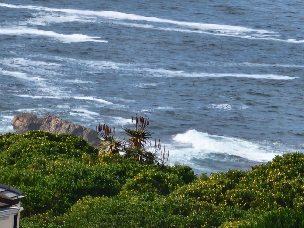 Residential vacant land for sale in Pezula Golf Estate - 1KG1727334 Residential vacant land for sale in Pezula Golf Estate - 1KG1727334