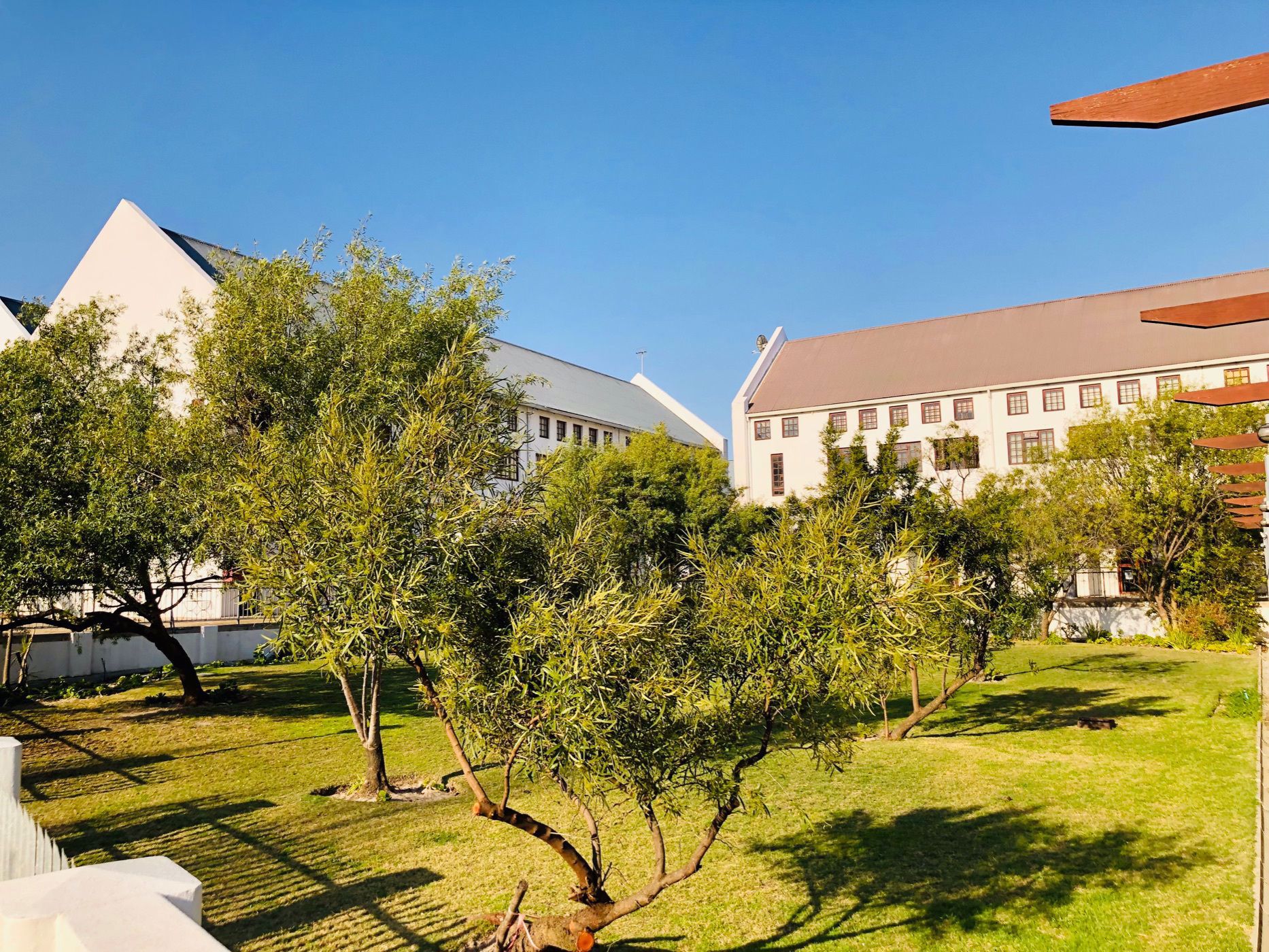 Apartment to rent in De Wijnlanden - STL1718891