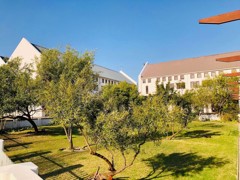 Apartment to rent in De Wijnlanden - STL1718891 Apartment to rent in De Wijnlanden - STL1718891