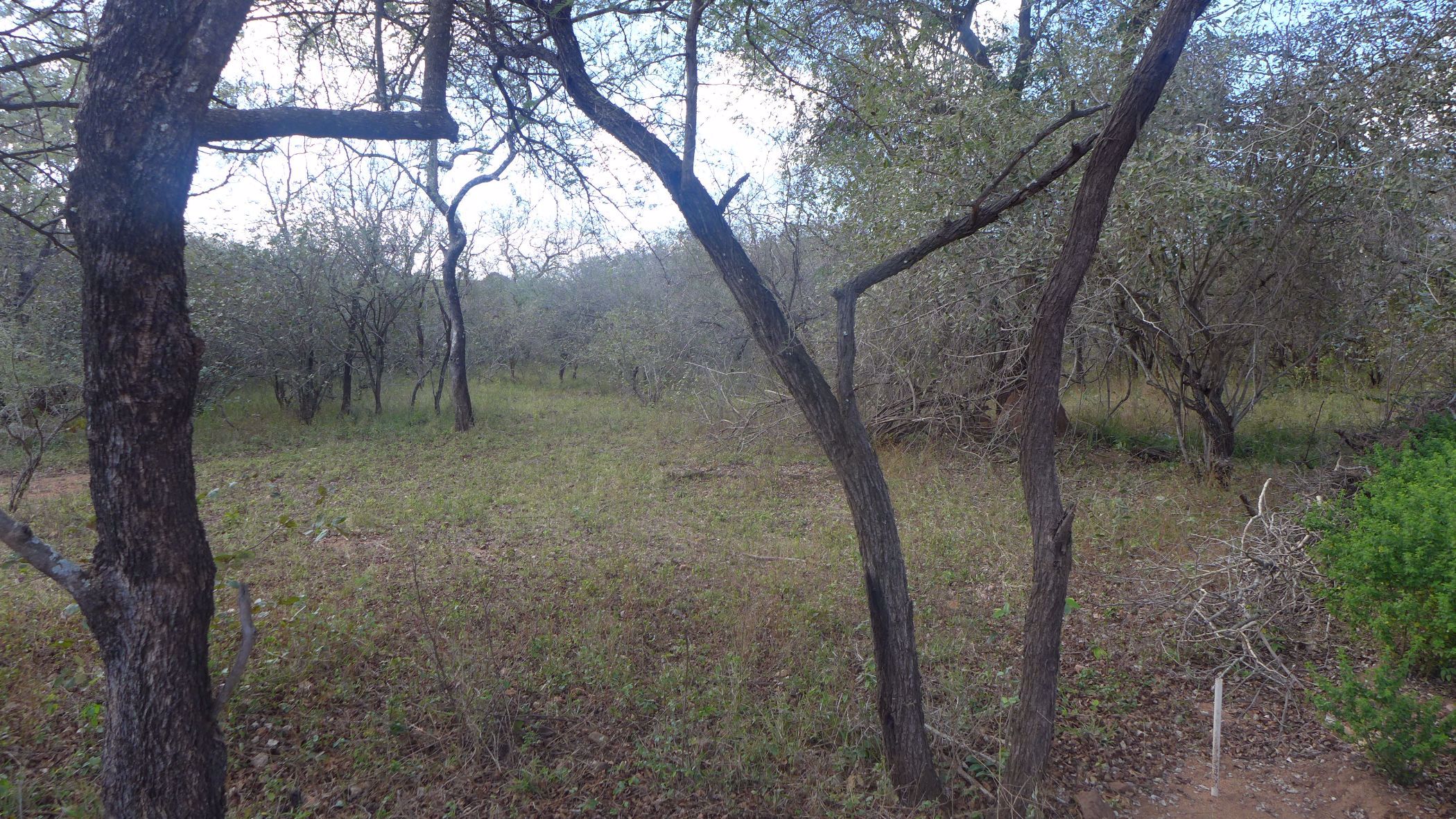 Vacant land for sale in Marloth Park - 1NK1686929