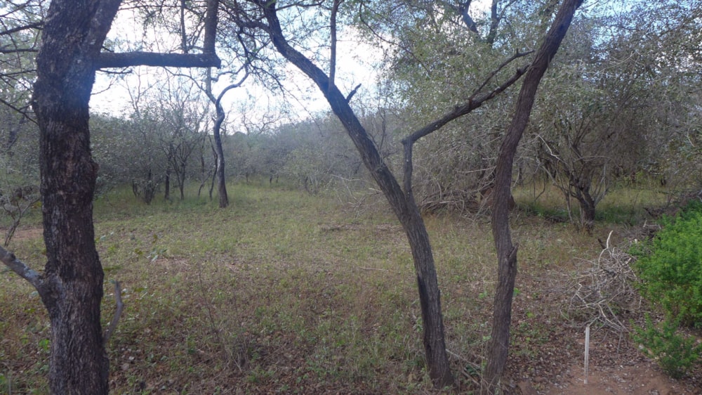Vacant land for sale in Marloth Park - 1NK1686929
