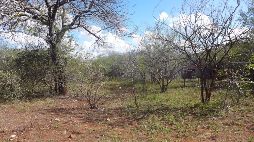 Vacant land for sale in Marloth Park - 1NK1686929