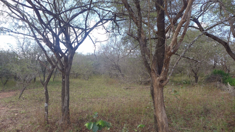 Vacant land for sale in Marloth Park - 1NK1686929
