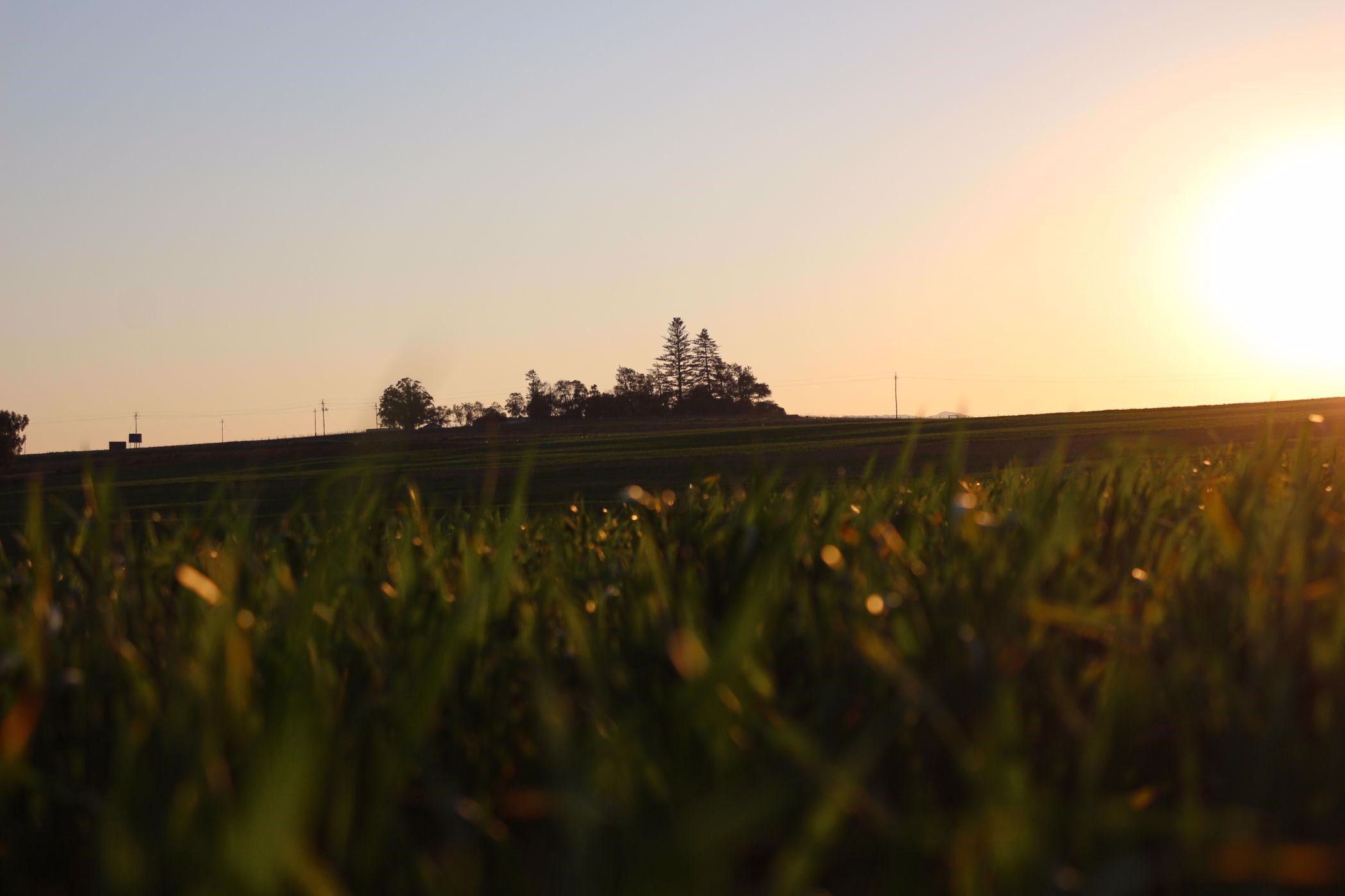 Vacant land sold in Mount Royal Golf & Country Estate - 1SJ1676405