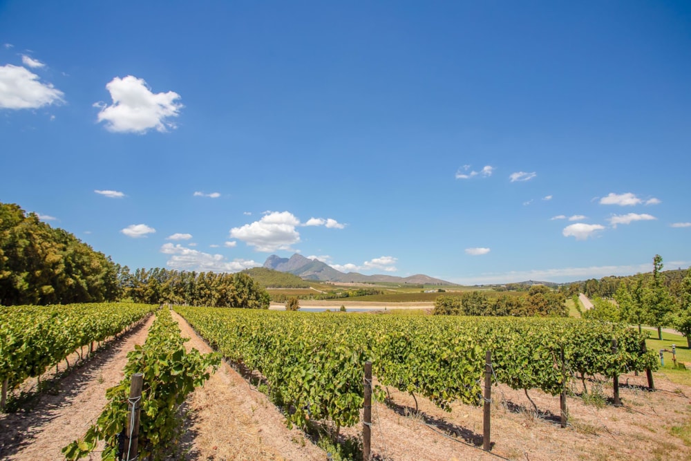 Residential vacant land for sale in Vini Fera at Anura - ST1709193 Residential vacant land for sale in Vini Fera at Anura - ST1709193