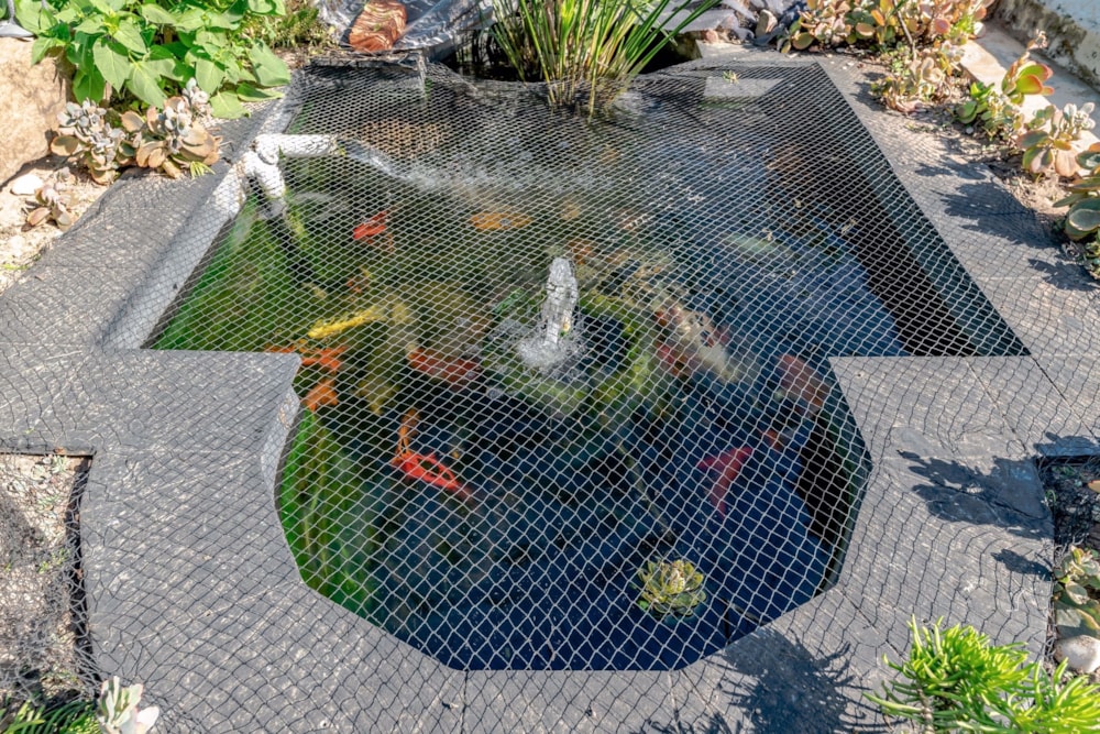 House for sale in Verulam - 1ND1630221 House for sale in Verulam - 1ND1630221