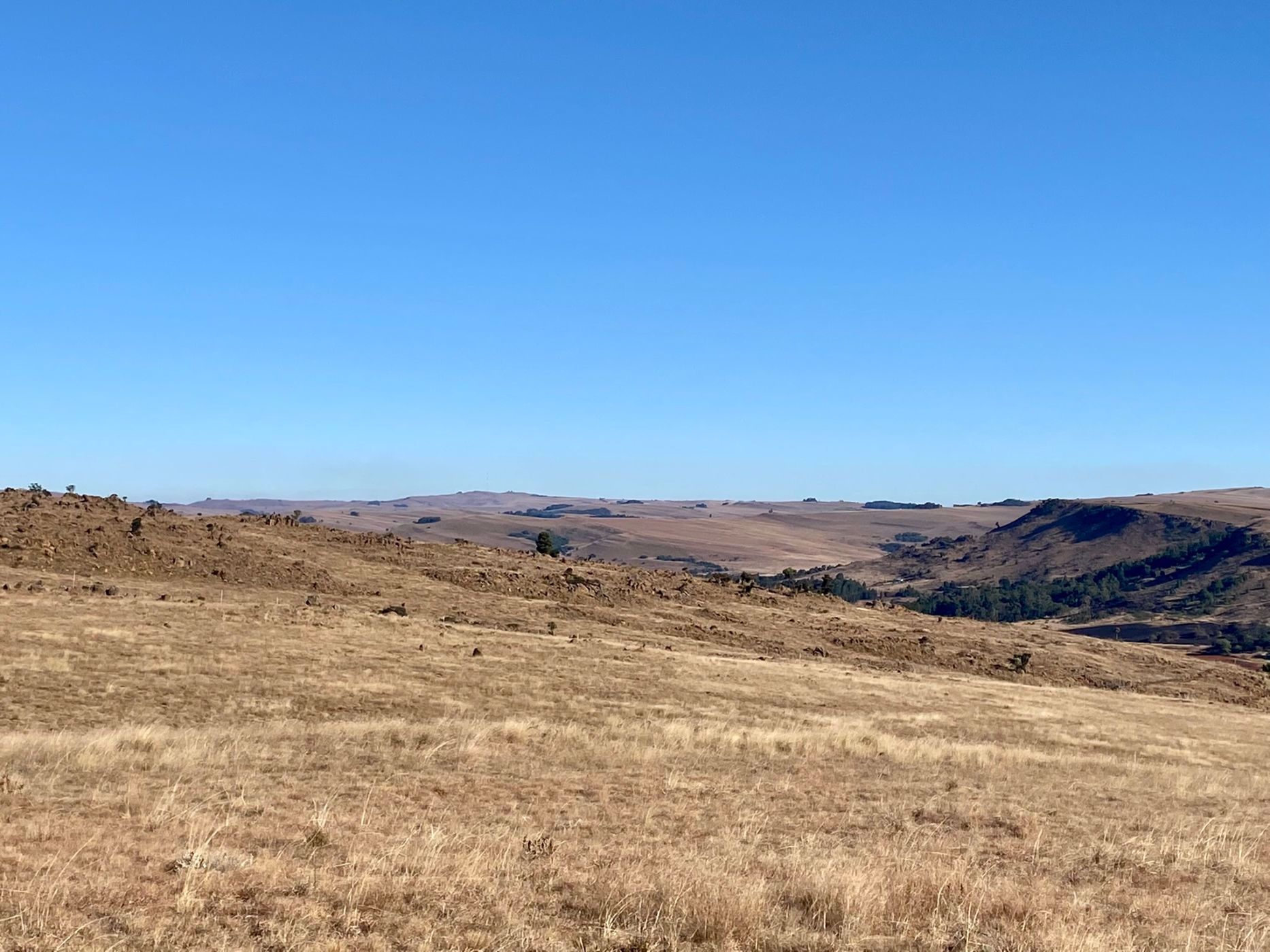 Vacant land for sale in Dullstroom - 1DS1575840