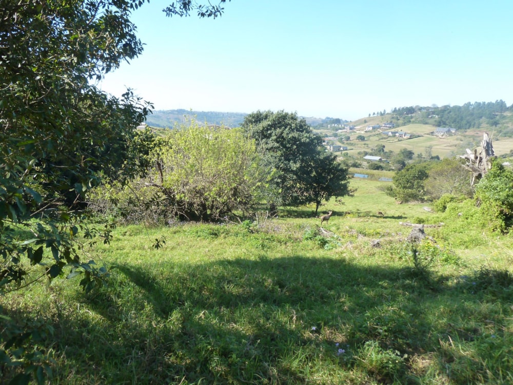 Residential vacant land for sale in Phezulu Estate - 1KF1575787 Residential vacant land for sale in Phezulu Estate - 1KF1575787