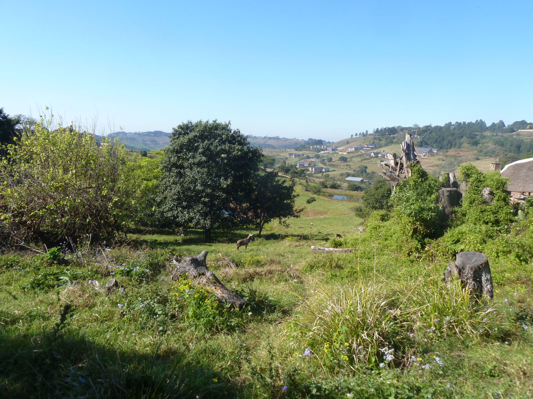 Residential vacant land for sale in Phezulu Estate - 1KF1575787