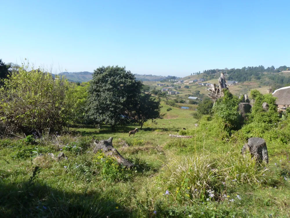 Residential vacant land for sale in Phezulu Estate - 1KF1575787 Residential vacant land for sale in Phezulu Estate - 1KF1575787