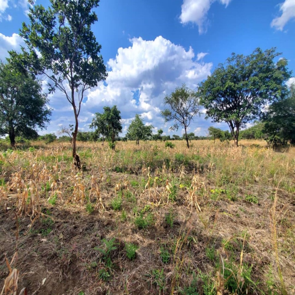 Farm vacant land for sale in Lusaka West, Zambia - 3ZA1575857