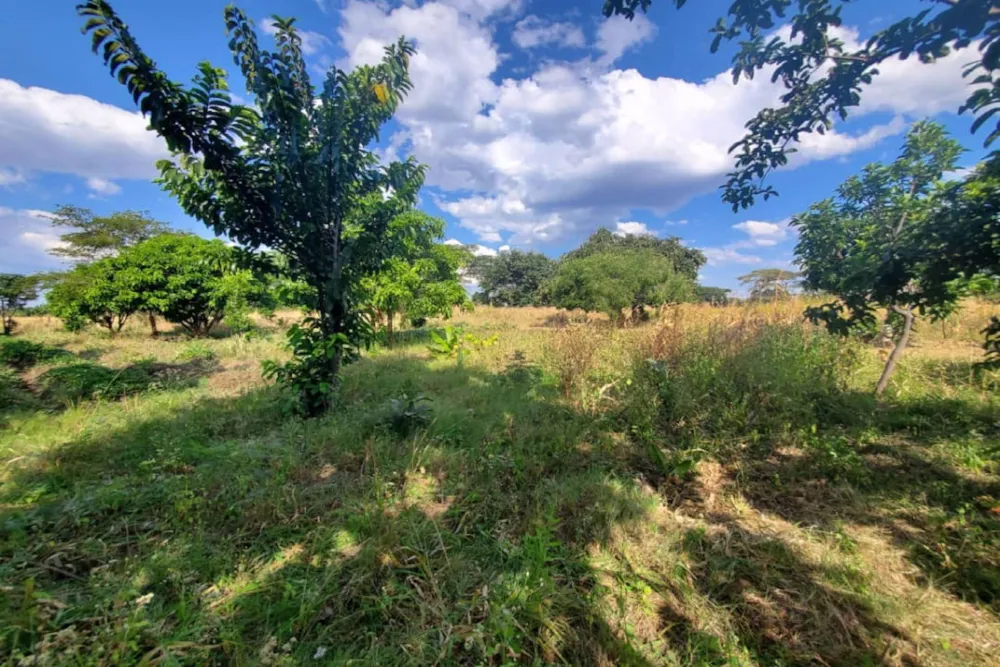 Farm vacant land for sale in Lusaka West, Zambia - 3ZA1575857