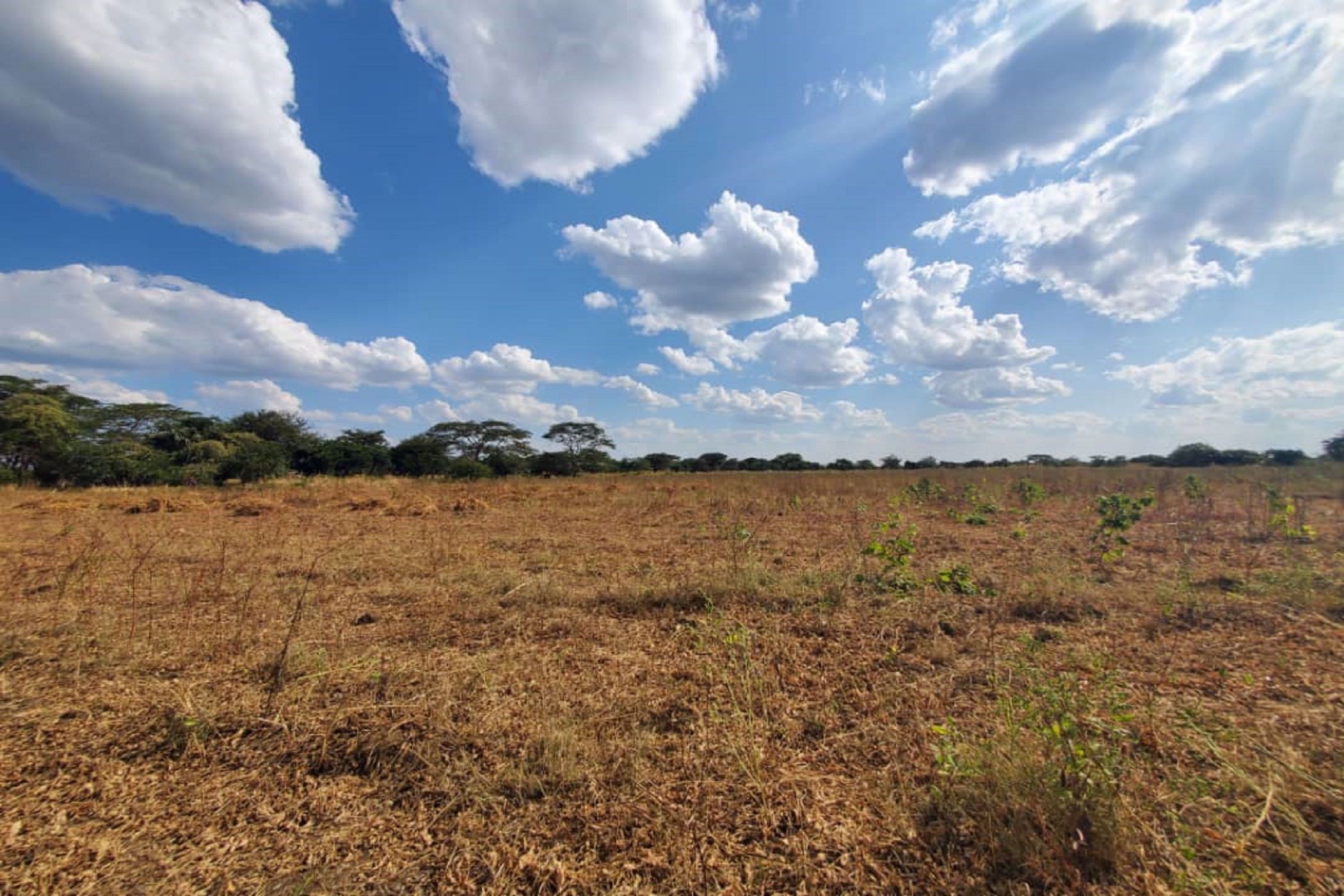 Vacant land for sale in Lusaka West, Zambia - 3ZA1575871
