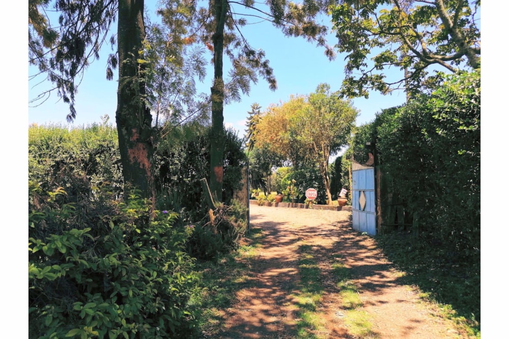 Commercial vacant land for sale in Tigoni, Kenya - 3KE1707946