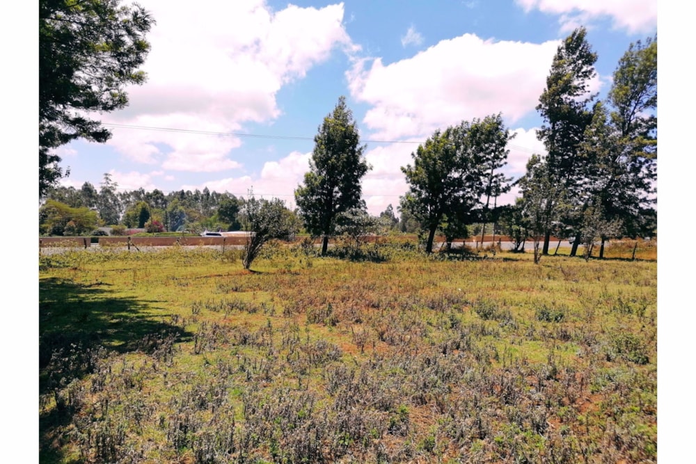 Commercial vacant land for sale in Tigoni, Kenya - 3KE1707946