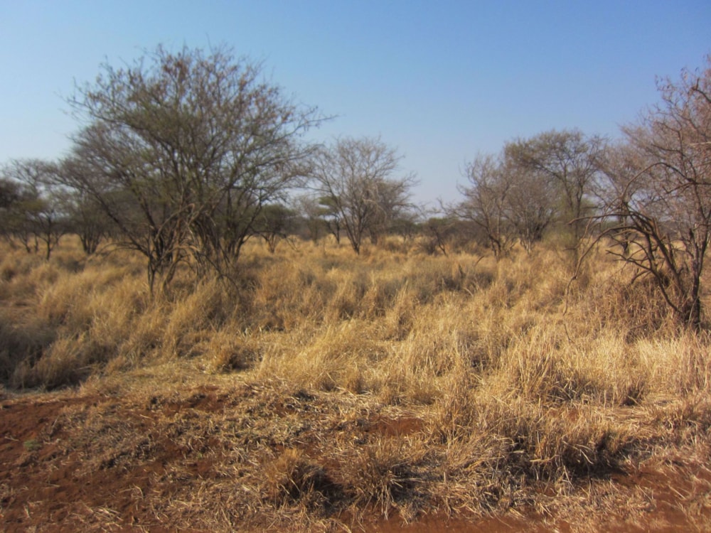 Residential vacant land for sale in Northam - 1ER1576589