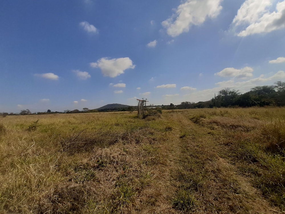 Farm vacant land for sale in Tzaneen Rural - 1TA1740911