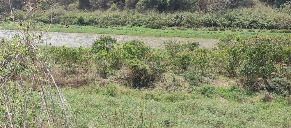 Farm vacant land for sale in Craigieburn - 1si1576717 Farm vacant land for sale in Craigieburn - 1si1576717