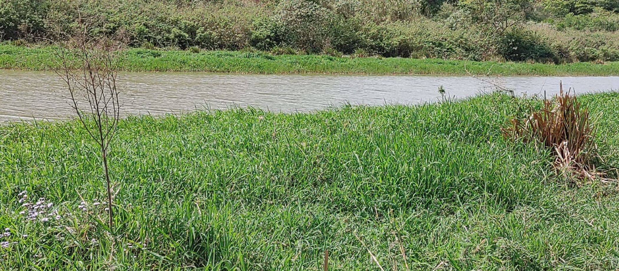 Farm vacant land for sale in Craigieburn - 1si1576717