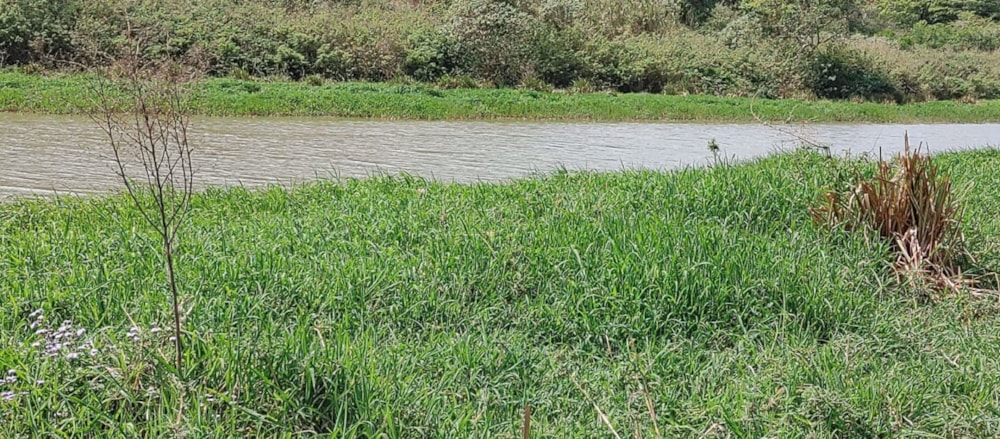 Farm vacant land for sale in Craigieburn - 1si1576717 Farm vacant land for sale in Craigieburn - 1si1576717