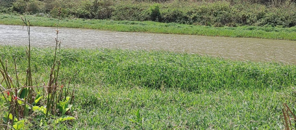 Farm vacant land for sale in Craigieburn - 1si1576717 Farm vacant land for sale in Craigieburn - 1si1576717