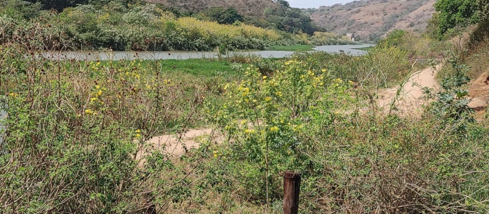 Farm vacant land for sale in Craigieburn - 1si1576717 Farm vacant land for sale in Craigieburn - 1si1576717