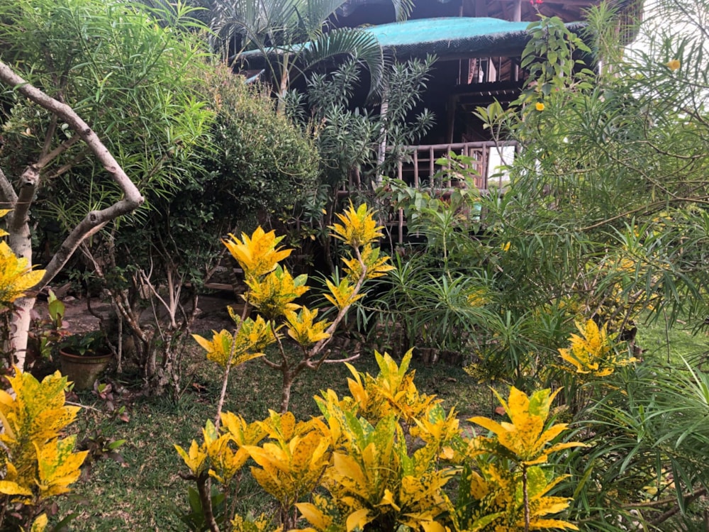 Beachfront villa for sale in Vilanculos, Mozambique - 3MQ1577444