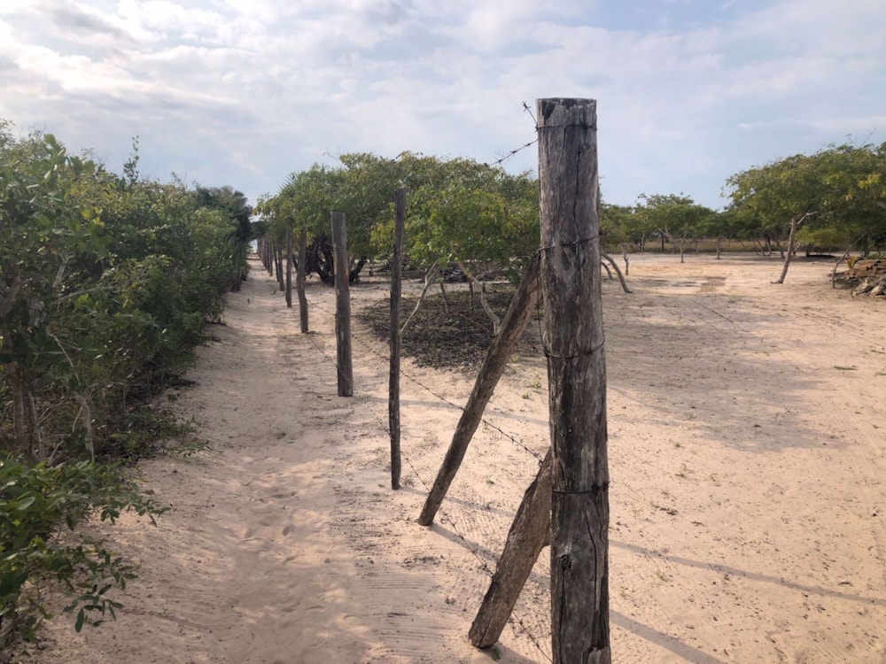 Vacant land for investment in Vilanculos, Mozambique - 3MQ1577446