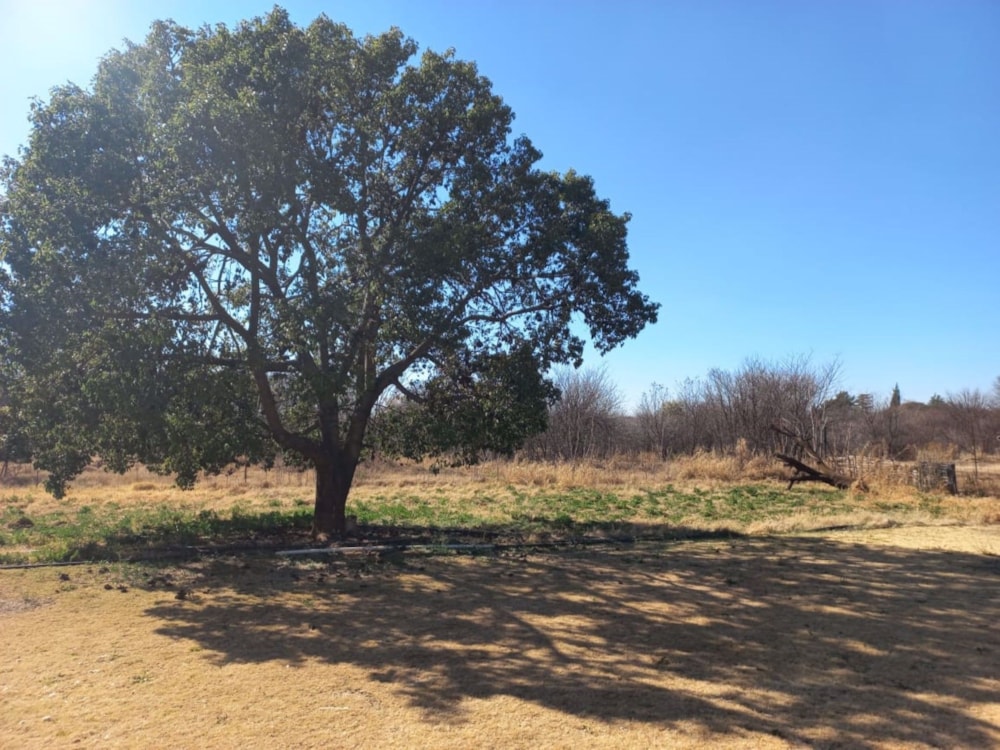 Smallholding for sale in Schweizer-Reneke - 1KJ1577583 Smallholding for sale in Schweizer-Reneke - 1KJ1577583