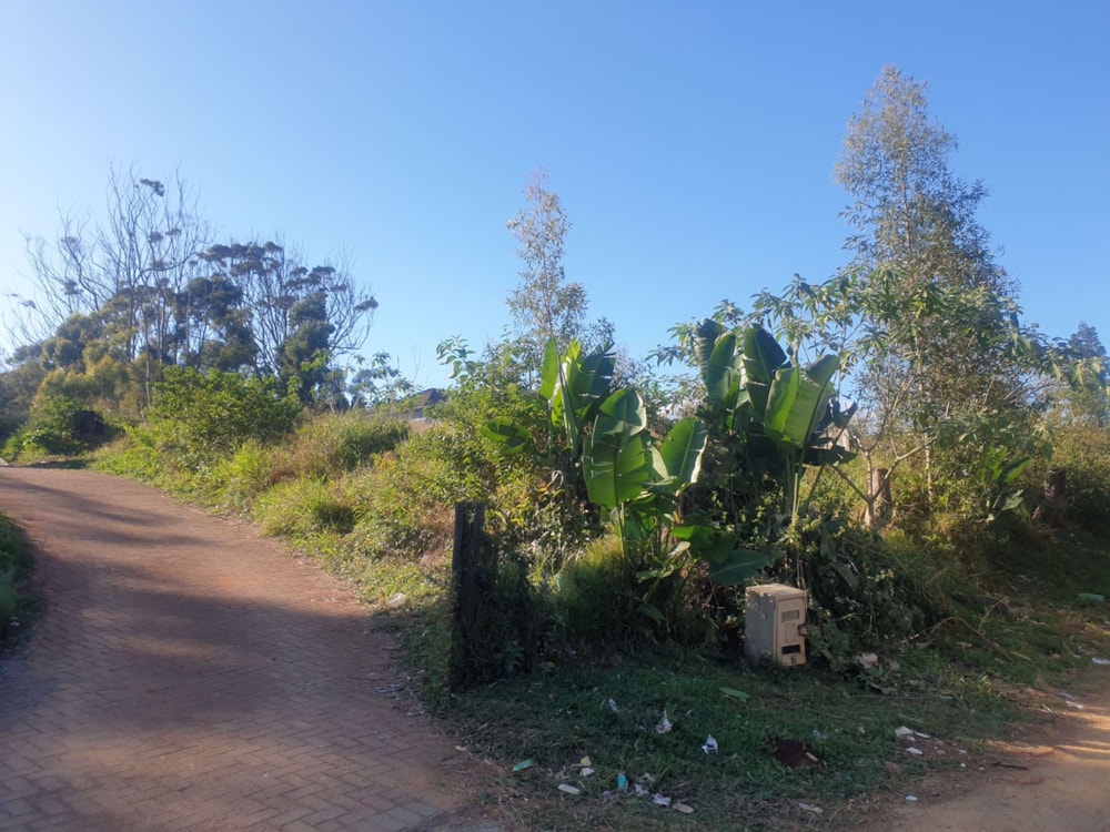 Vacant land for sale in Margate - 1PX1578621