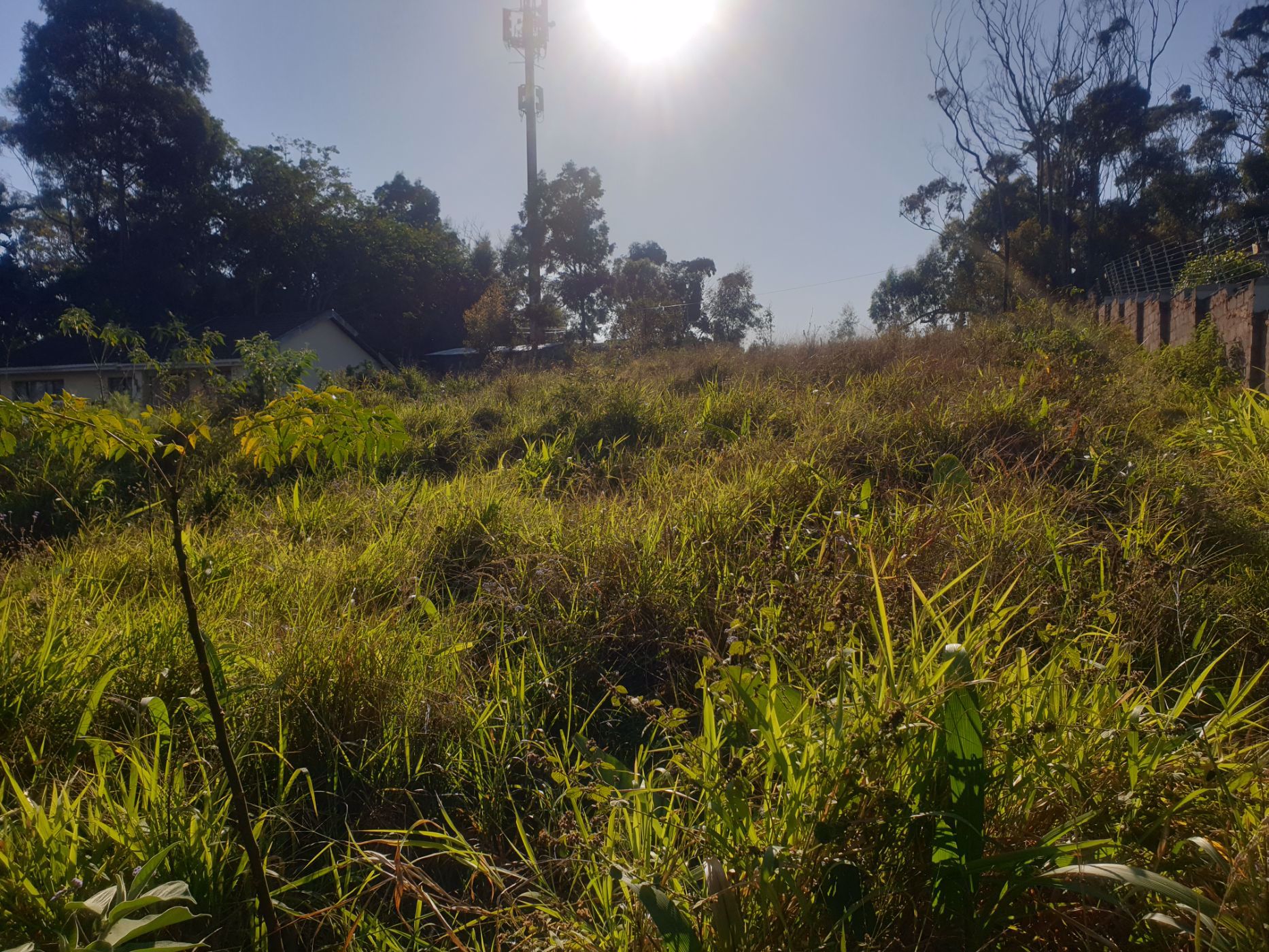 Vacant land for sale in Margate - 1PX1578621